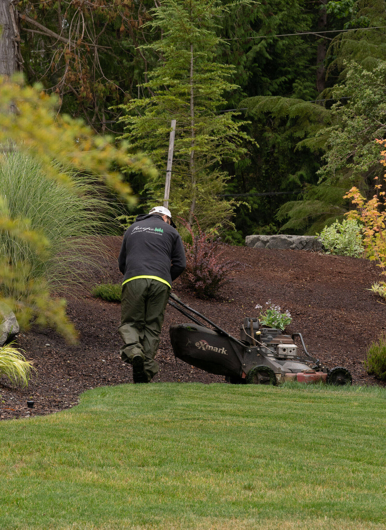 Maintained landscape